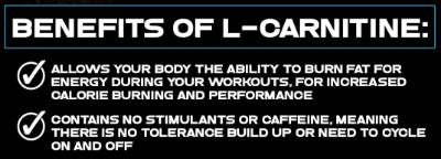 VMI L-Carnitine 1500 Heat (Gummy Bear)