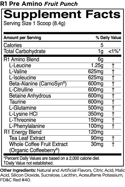 Rule1 Pre-Amino (Fruit Punch)